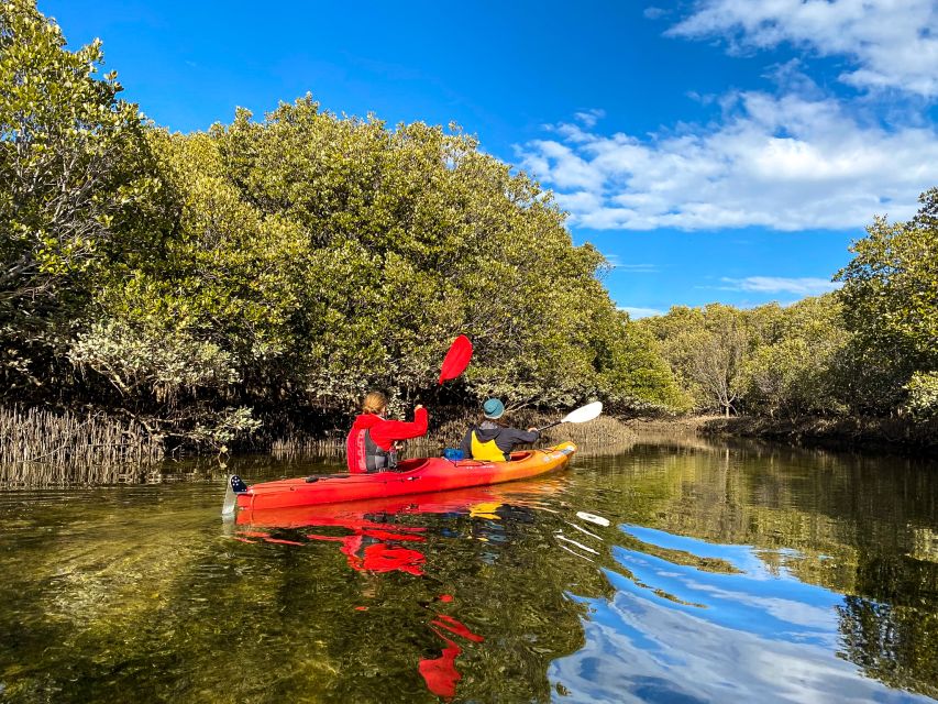 Adelaide: Dolphin Sanctuary 1 or 2-Person Kayak Rental