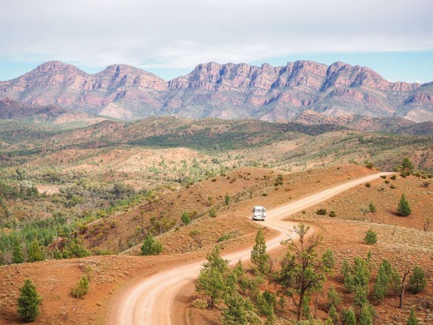 Adelaide: Eyre Peninsula and Flinders Ranges Adventure Trip