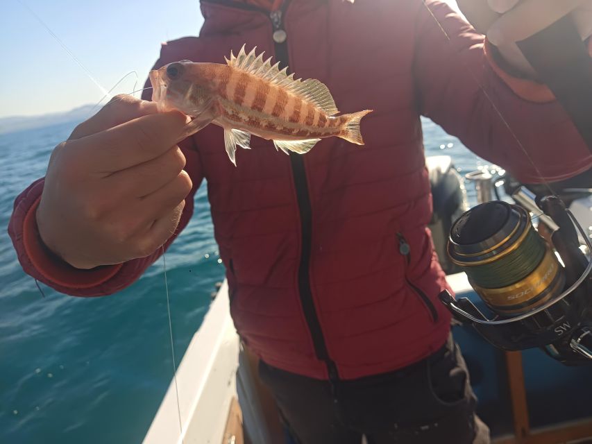 Agrigento: Boat Fishing Near the Coast for Small Groups