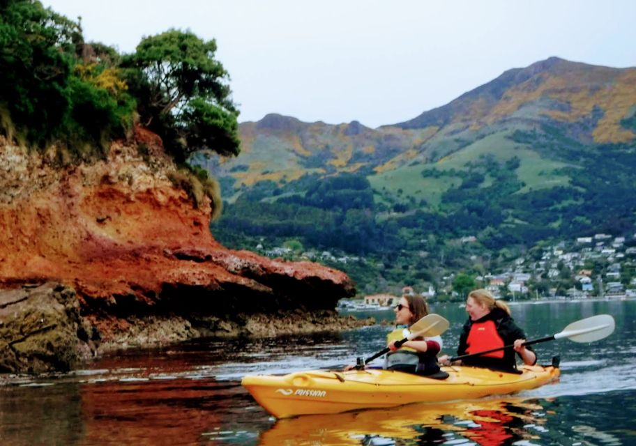 Akaroa: Akaroa Marine Reserve Sea Kayaking Tour