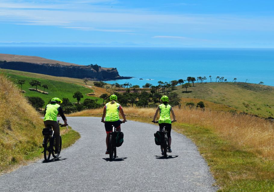 Akaroa: Electric Mountain Bike and Sea Kayak Adventure