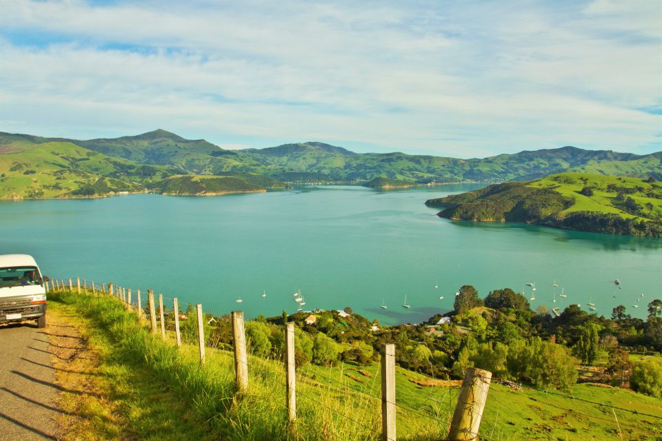 Akaroa: Pohatu Penguins Scenic Nature 2-Hour or 4-Hour Tour