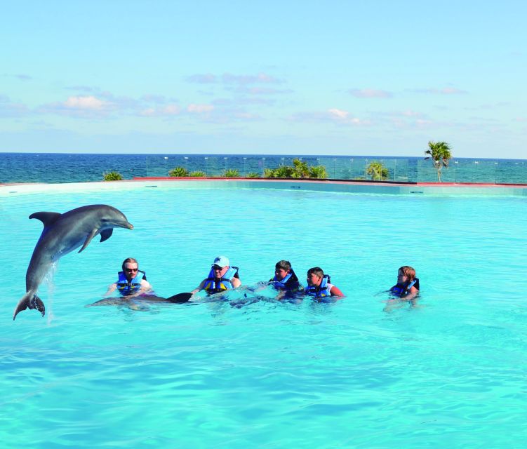 Akumal: Dolphin Encounter