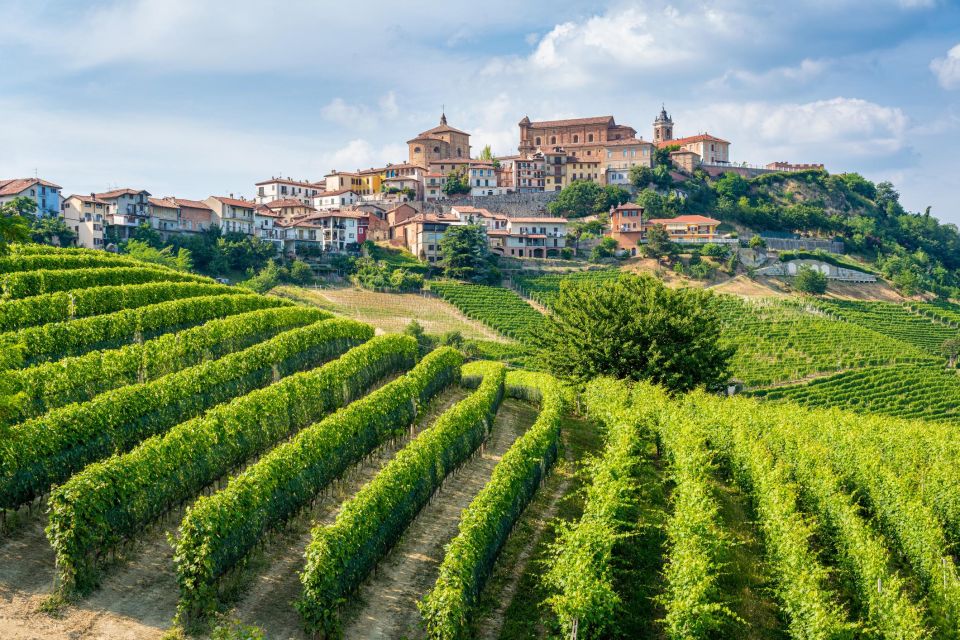 Alba: Barolo Castle, Alfieri Vineyards, and Truffle Lunch