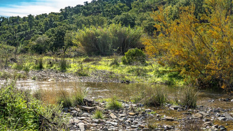 Albufeira: Full Day Off-Road Buggy Tour With Lunch & Guide