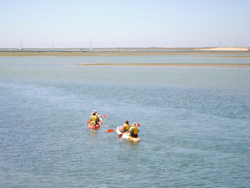 Algarve: 2-Hour Ria Formosa Kayak Tour From Faro