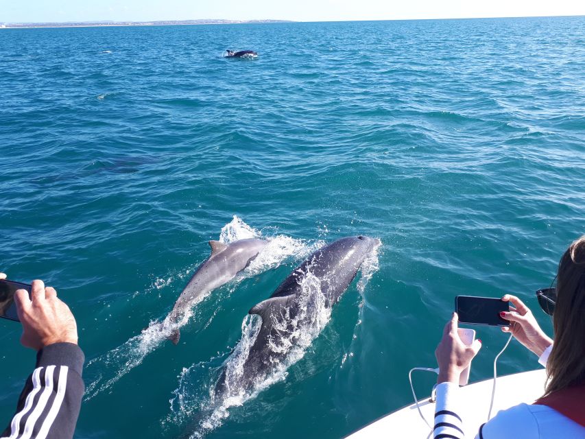 Algarve: Boat Trip to the Caves of Benagil