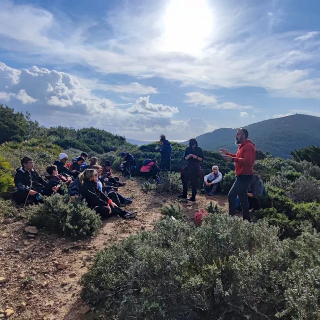 Alghero: Griffon Vulture Trek in Porto Conte Park