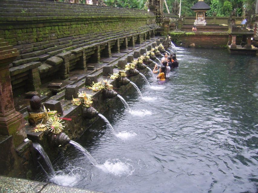 All-Inclusive Monkey Forest, Waterfall, Rice Terrace, Temple. - Tour Details