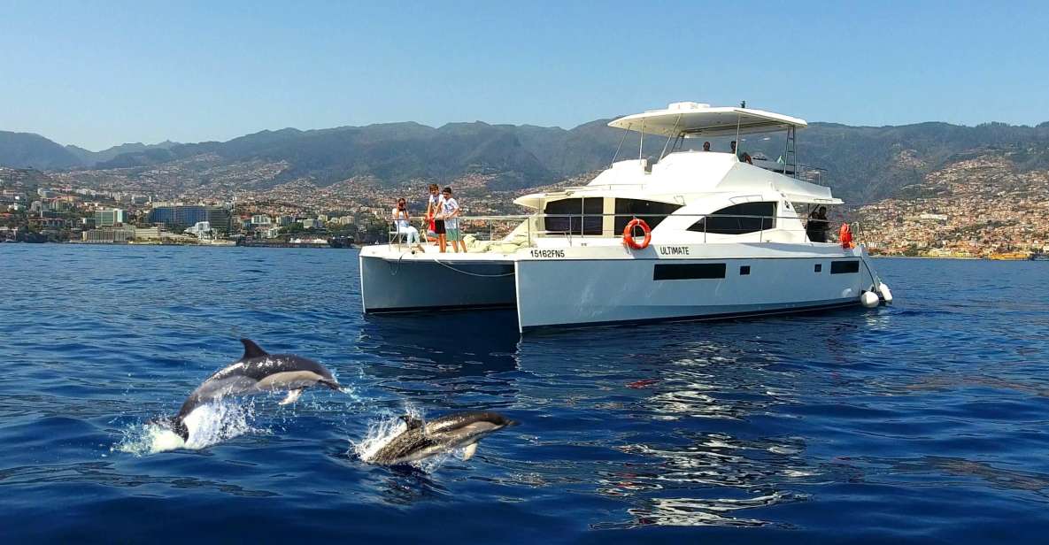 All Inclusive Whale and Dolphin Watching Luxury Tour