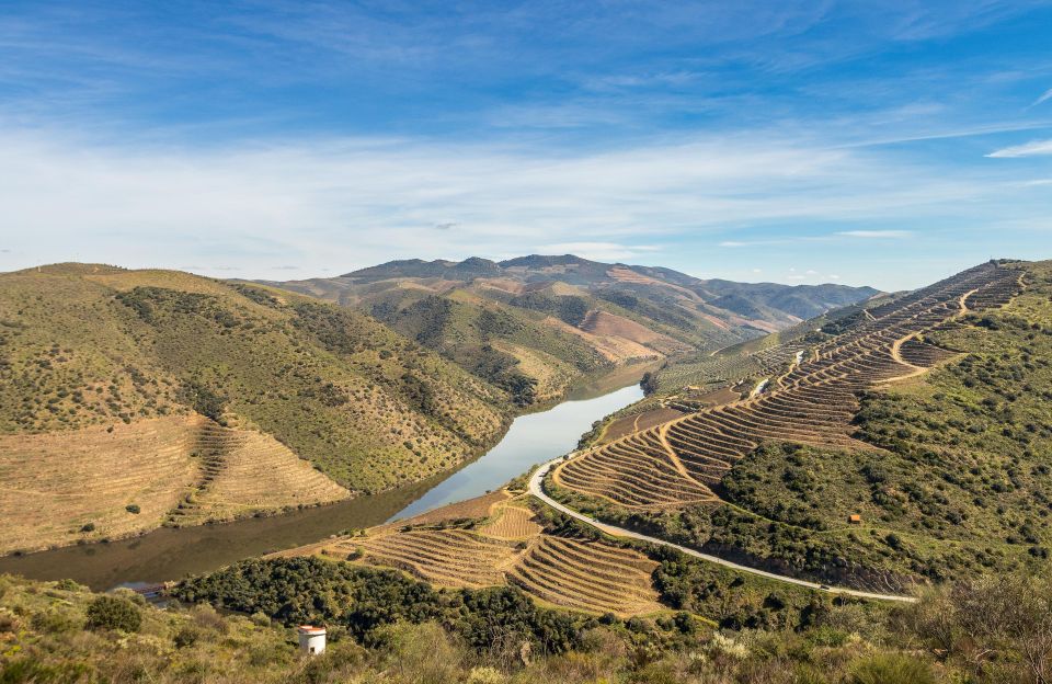 Almond Tree Trail