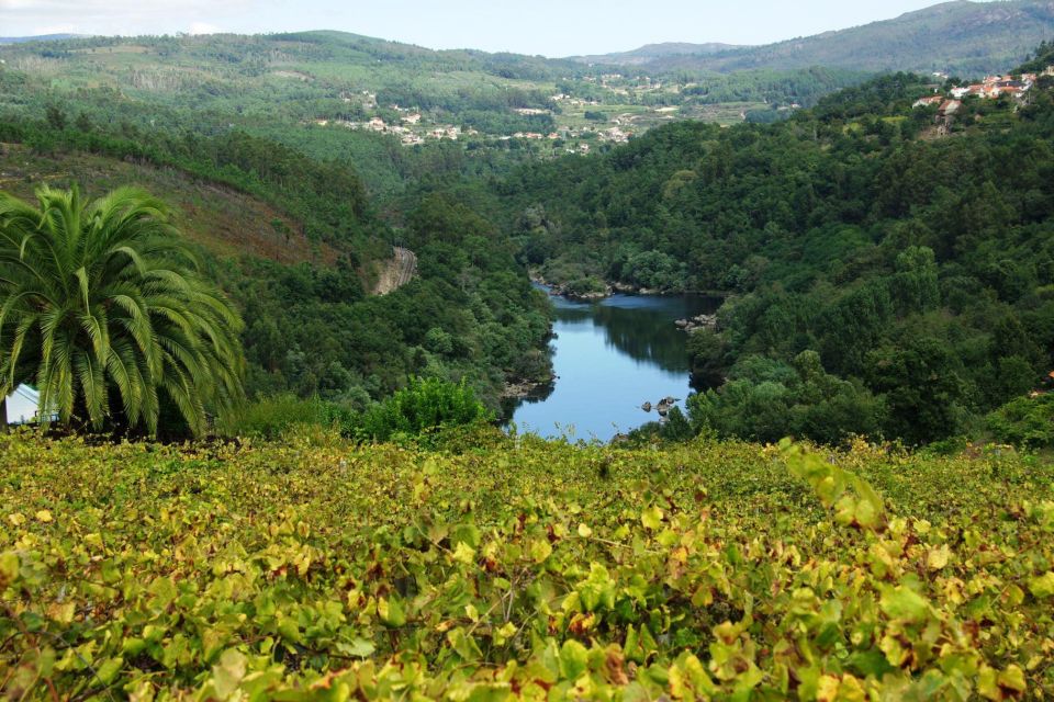 Alvarinho Wine Full Day Tour