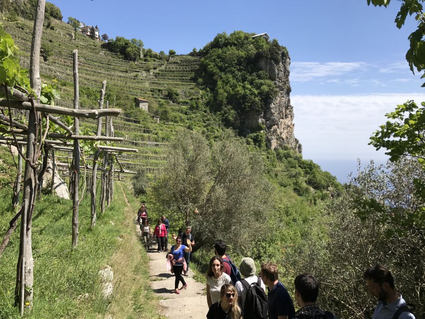 Amalfi: Walking Tour Between Furore Vertical Vineyards