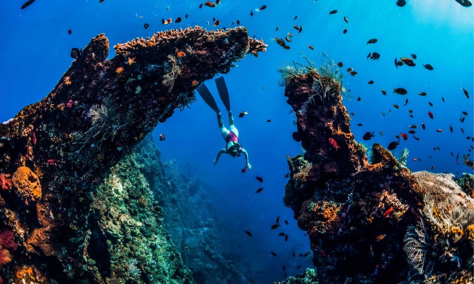 Amed: Snorkeling Trip to the Japanese Shipwreck