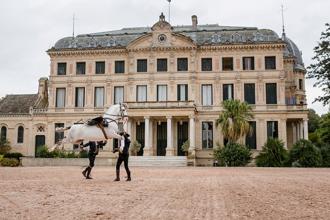 Andalusian Horses Dance Show