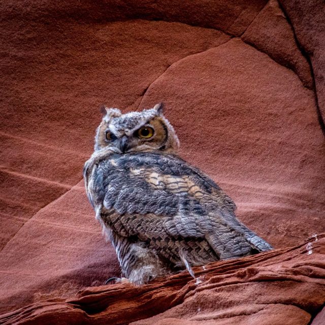 Antelope Canyon: Owl Canyon Guided Hiking Tour - Overview of the Tour