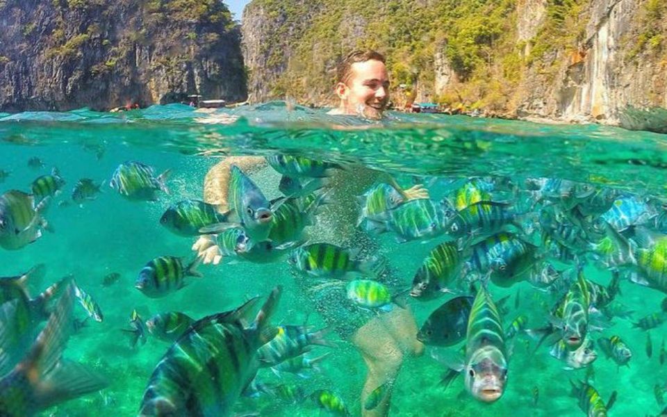 Ao Nang:Phi Phi Island 1 Day With a Private Longtail Boat