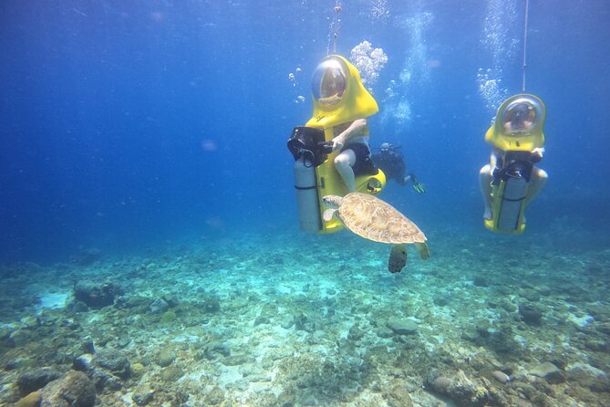 Aquafari Tour in Curaçao