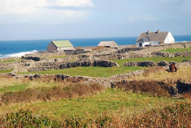 Aran Islands Bike Tour With Tea & Scones – Day Trip to Inisheer From Doolin