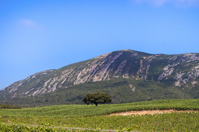 Arrabida and Sesimbra Small-Group Day Trip From Lisbon With Wine Tasting - Inclusions and Exclusions