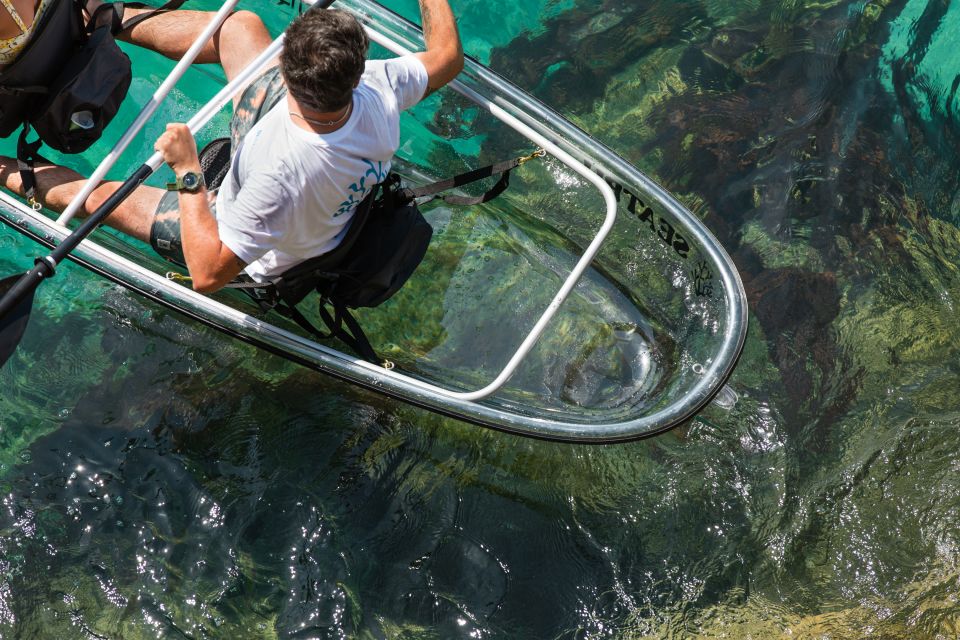 Arrábida: Guided Transparent Kayaking Tour