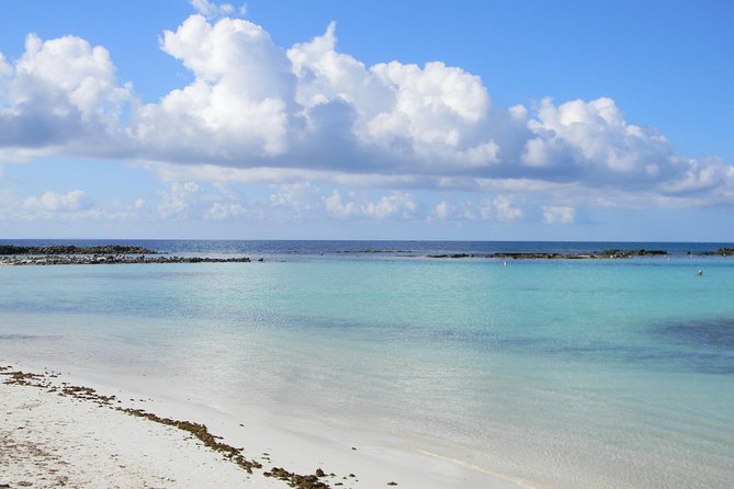 Aruba Mangel Halto and Baby Beach Snorkeling Guided Tour