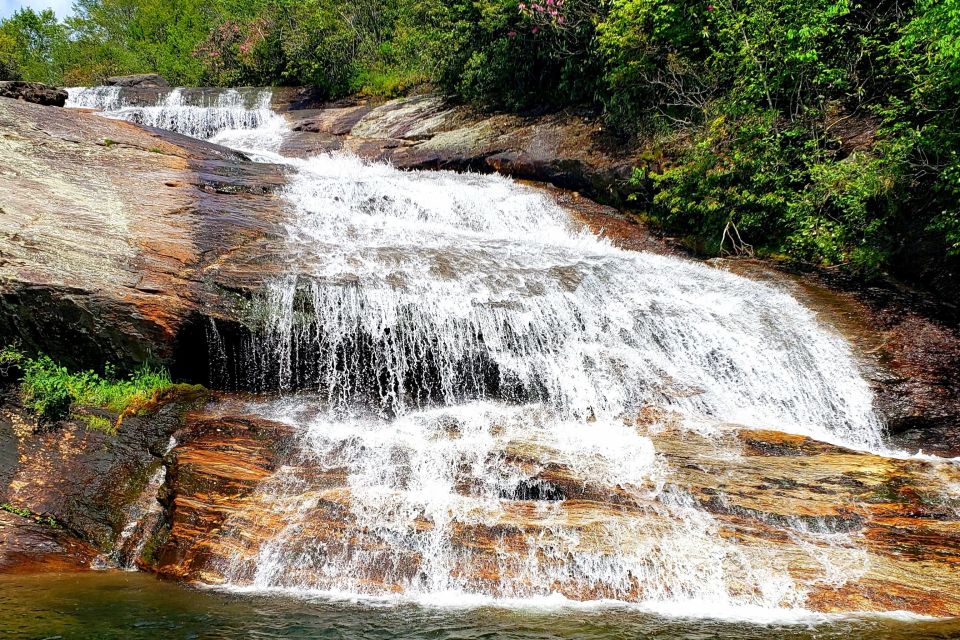 Asheville: Blue Ridge Mountains Tour for Children! - Tour Overview