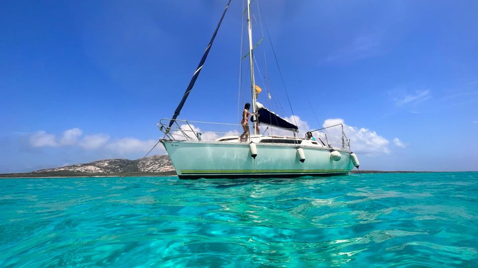 Asinara: Full Day Sailboat Excursion From Stintino