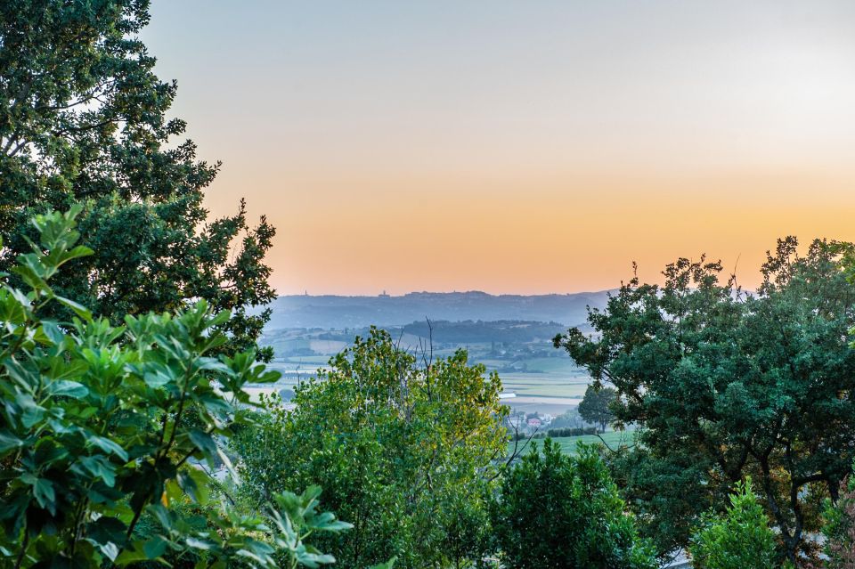 Assisi by Driver and Guide. Panoramic and Historical Tour