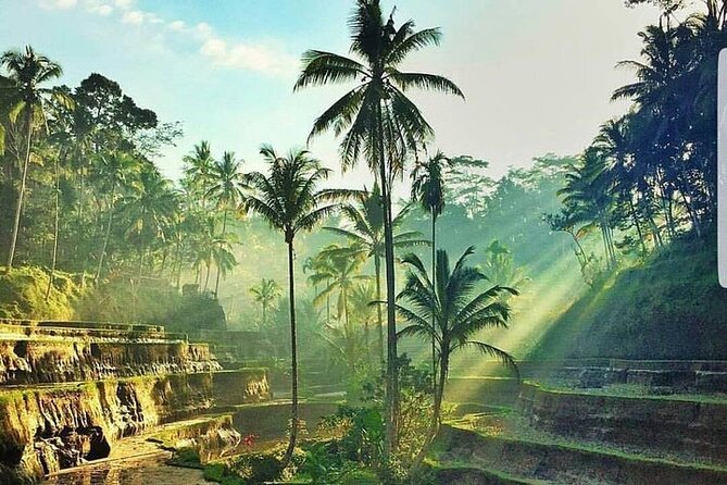 ATV Ride & Ubud Tour - Overview of the Tour