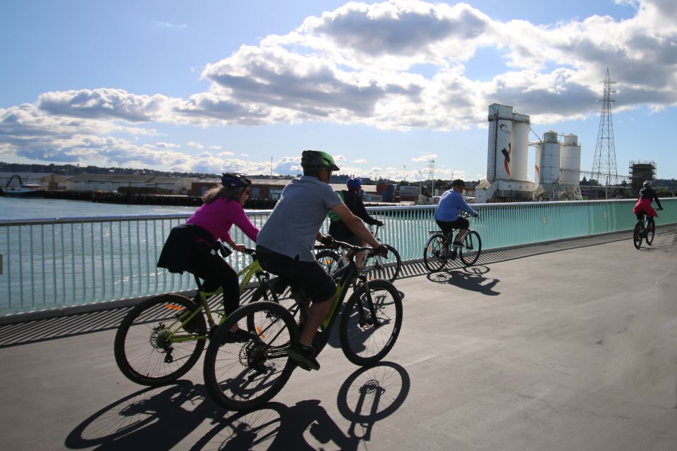 Auckland Half-Day Ebike Tour Excursion - Tour Overview