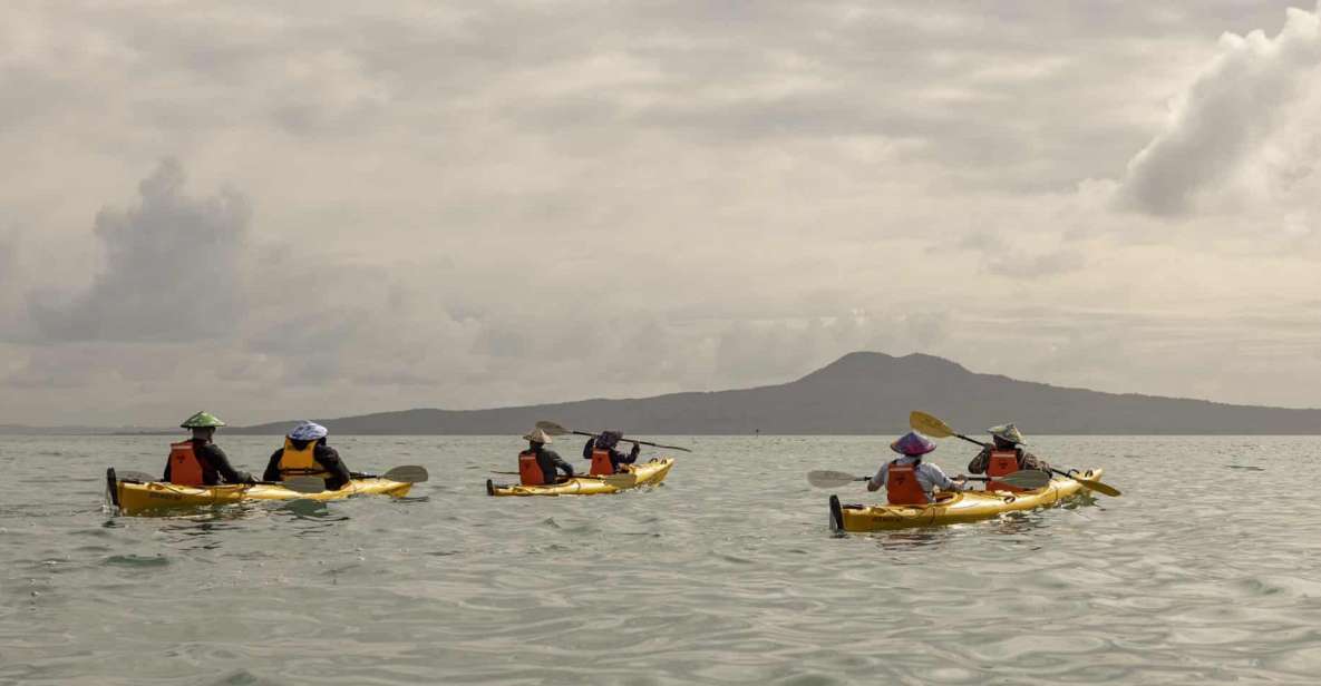 Auckland: Waiheke Island Sea Kayak Tour