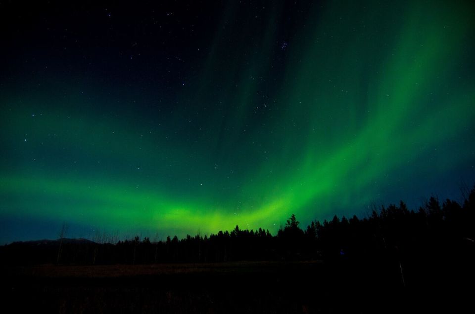 Aurora Borealis Quest: Private Yukon Nighttime Tour