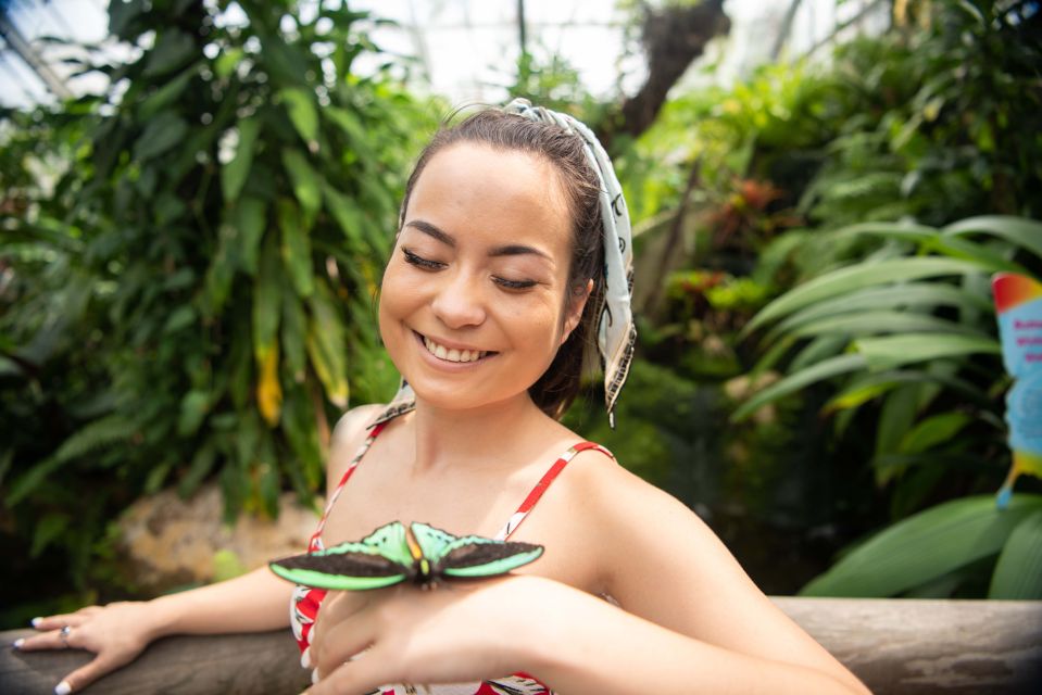 Australian Butterfly Sanctuary