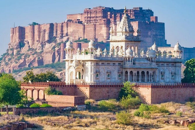 Authentic Jodhpur Day Tour - Overview of the Tour