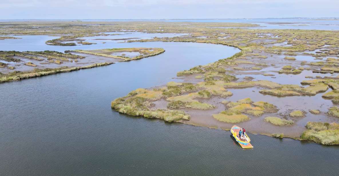 Aveiro: Ria Highlights Boat Tour