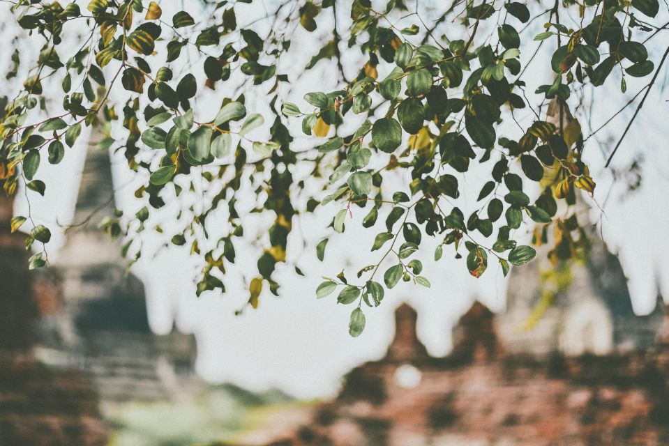 Ayutthaya: Ancient City Temple Tour