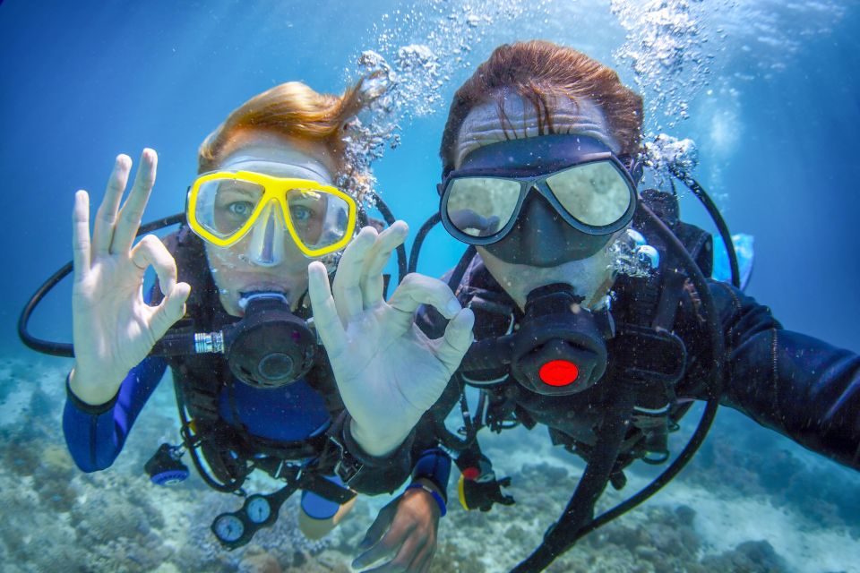 Bali: 3-Day PADI Open Water Diving Course - Balis Biodiversity