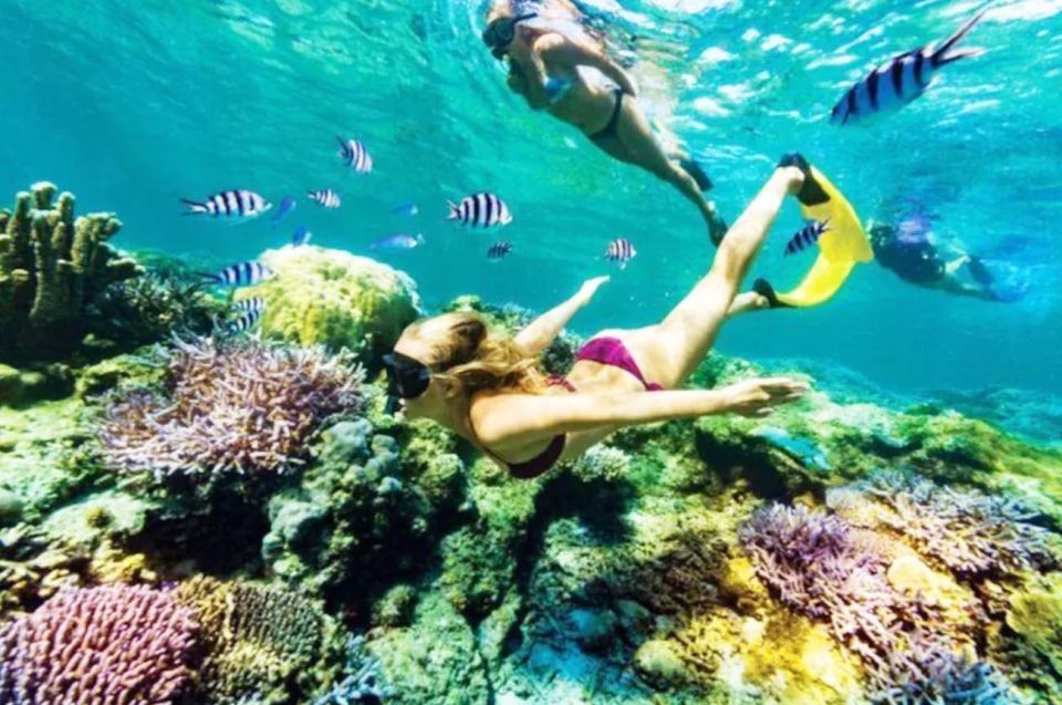 Bali: All-Inclusive Blue Lagoon Snorkeling & Waterfall Tour