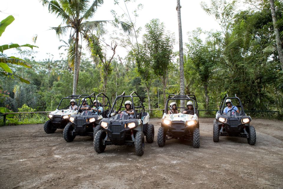 Bali: ATV Mason Jungle Buggy Adventure With Lunch & Transfer