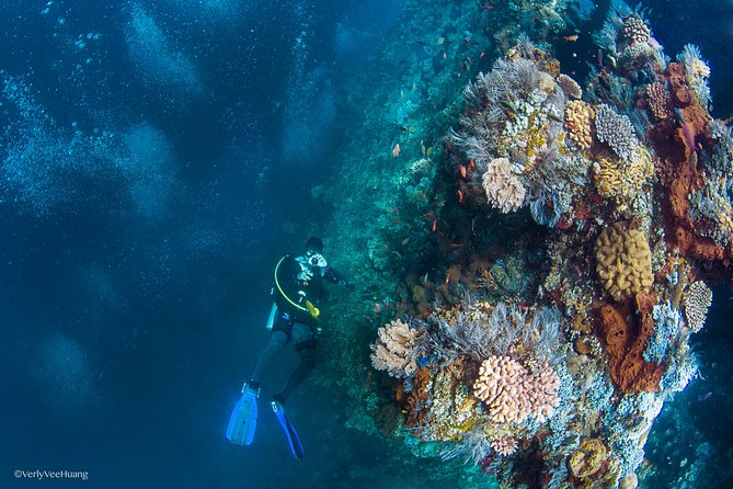 Bali Diving Day Trip-Manta Point/Tulamben Shipwreck-Fun Dive