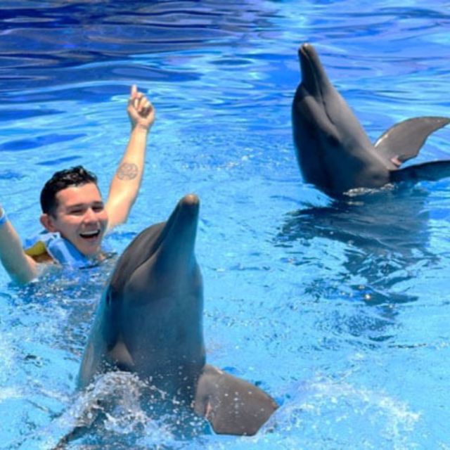 Bali : Full Day Bali Dolphin Tour