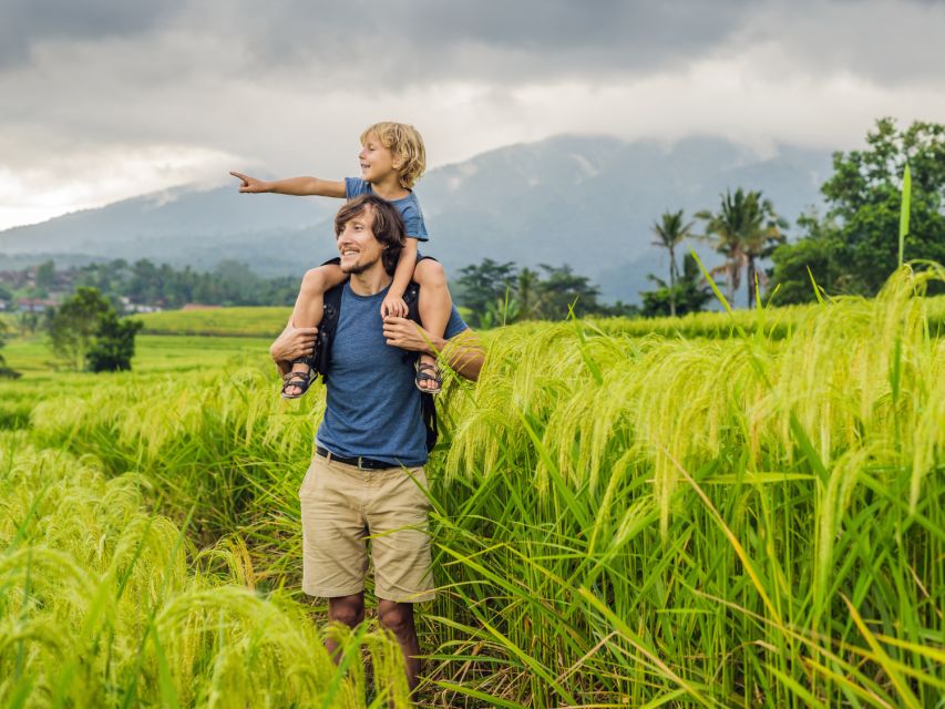 Bali: Green and Heritage West Trip Private Tour, Luxury Car