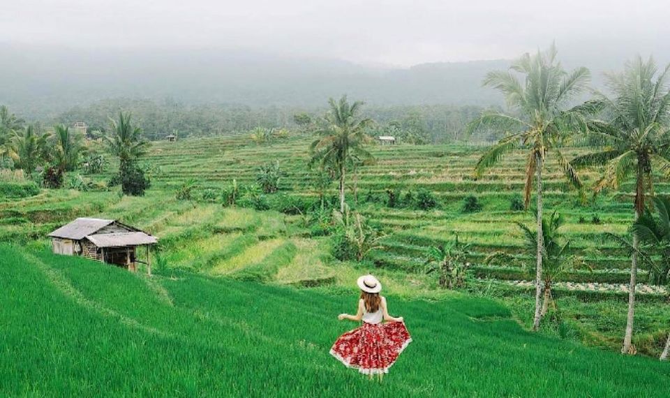 Bali: Jatiluwih Rice Terrace, Hidden Gem Waterfall & Temple