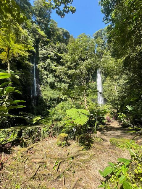 Bali/Munduk : Explore Three Different Hidden Gem Waterfalls