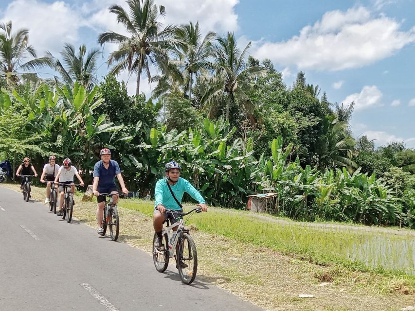 Bali Natural Downhill Cycling Tour And Visit Batur Volcano