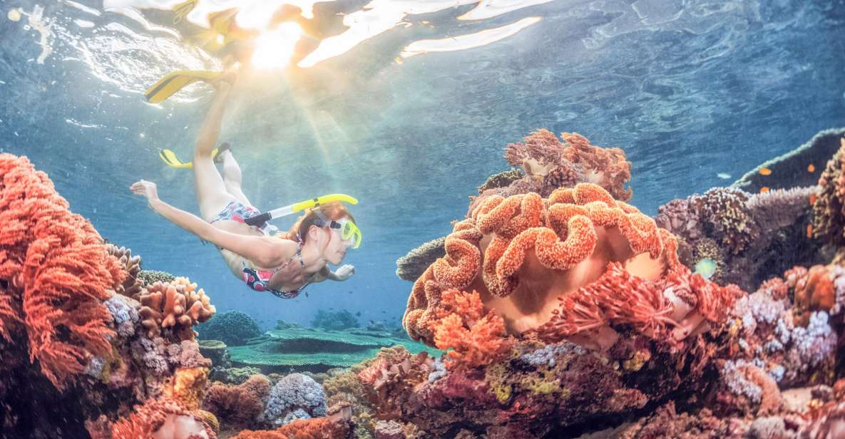 Bali: Padangbai Blue Lagoon Snorkeling Day Trip