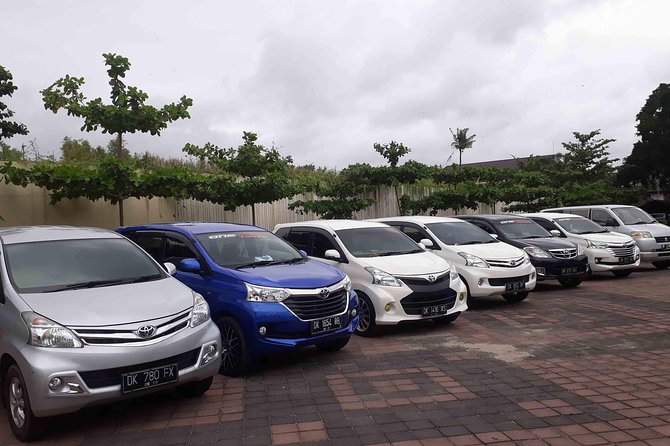 Bali Private Car Charter With English Speaking Driver - Overview of the Service