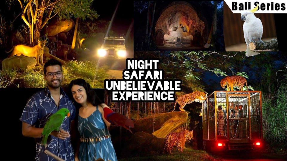 Bali: Return Private for Night Safari Bali Safari Marine