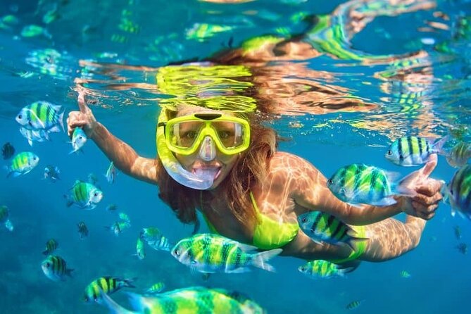 Bali Snorkeling At Bluelagoon Beach With Lunch Private Transport
